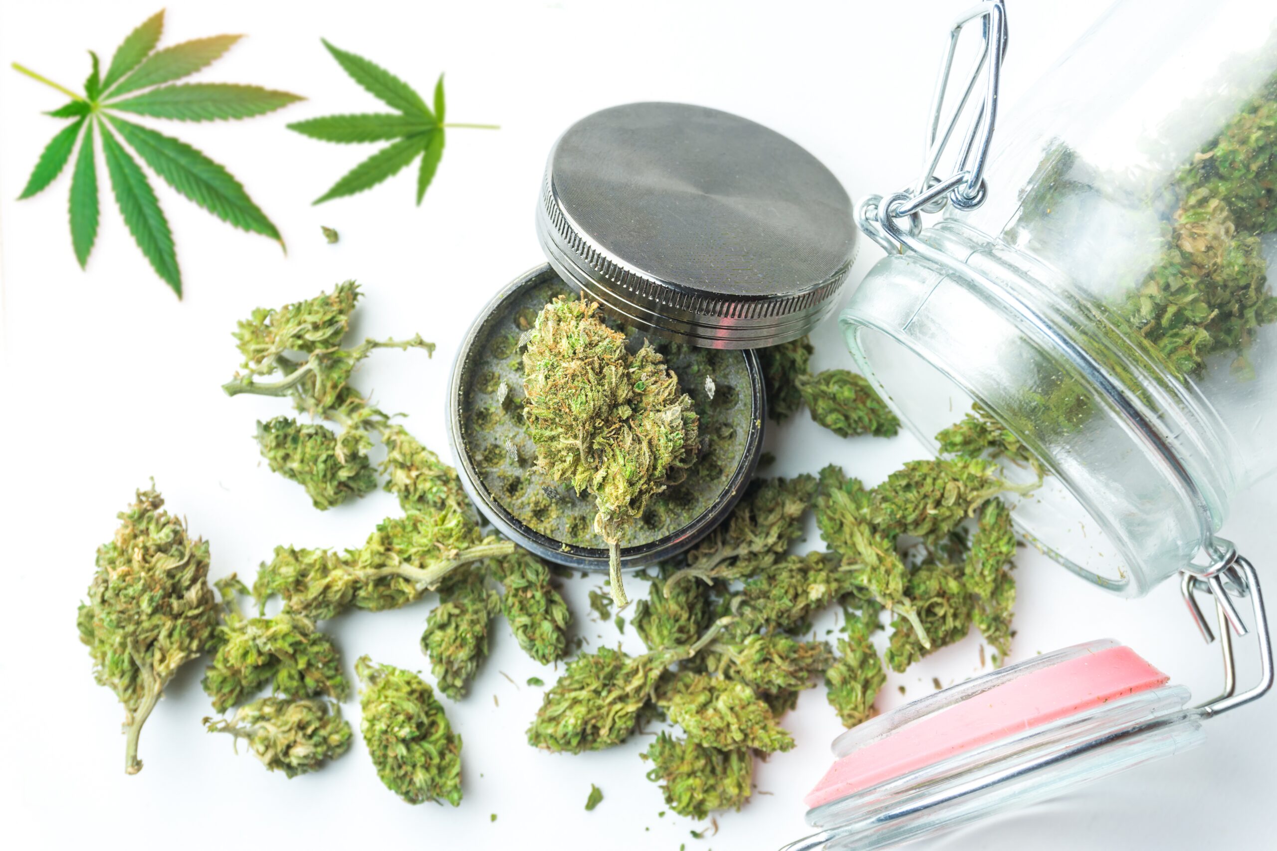 A photo of weed in a grinder.