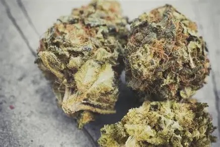 top shelf flower Queens cannabis .