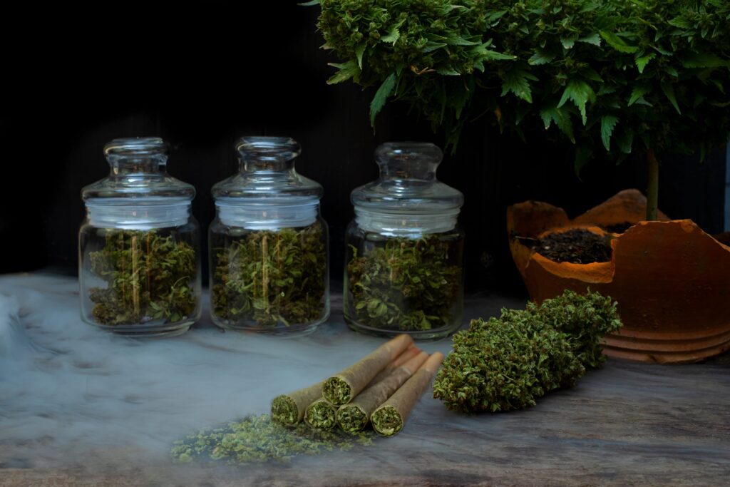 pot dispensary near me Token Dispensary Rego Park